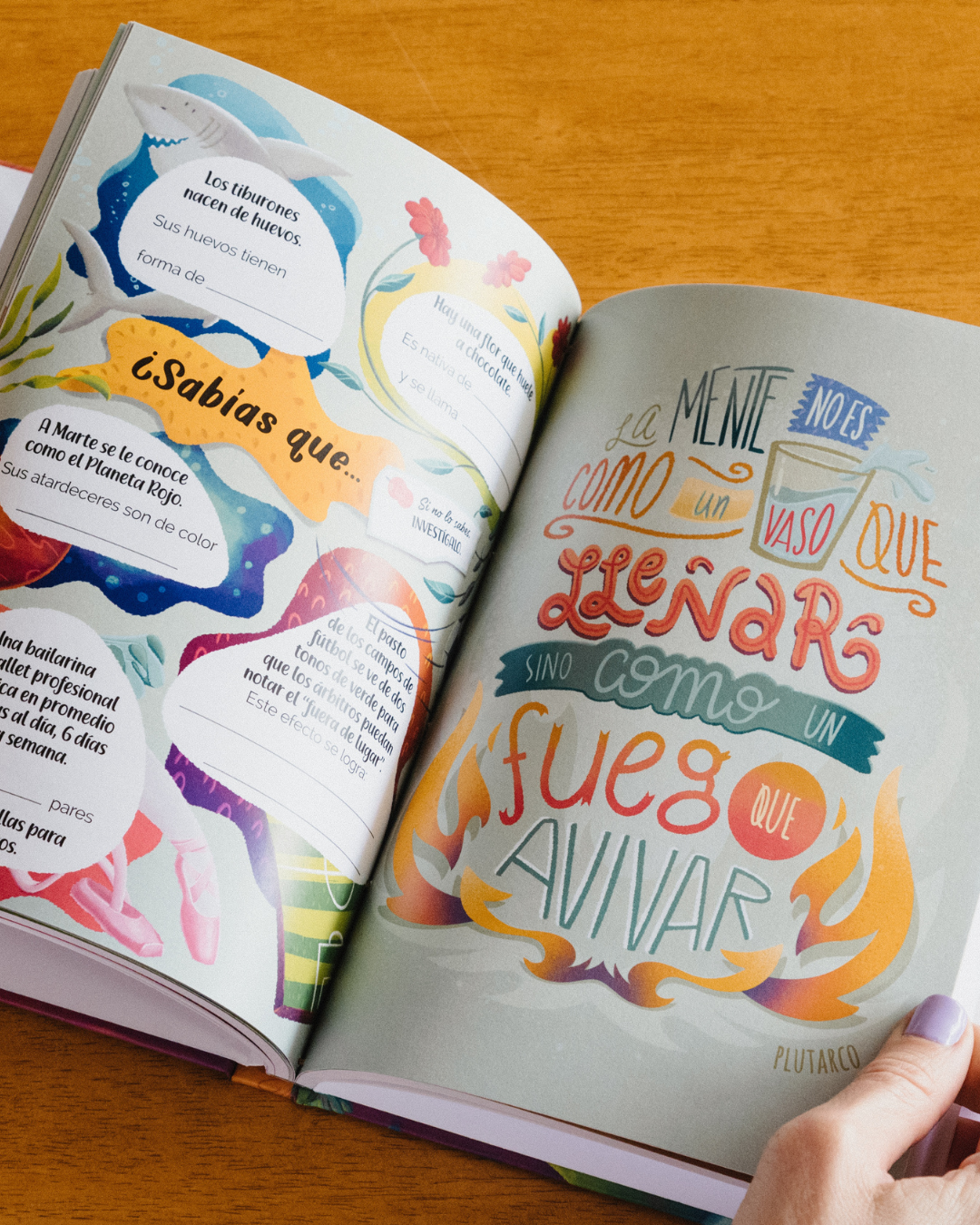 Libro MAPA para la aventura de mi vida